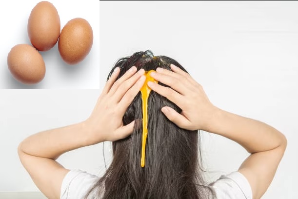 eggs for hair growth
