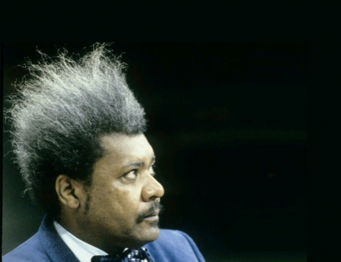 Don King Hairstyle